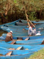 /album/fotos-afrika/mburo-9-small-jpg/